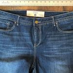 Boohoo FAMOUS GAZOZ knee length denim short, plus size 18, NWT Photo 3