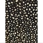 H&M  Black & White Painted Dots Button Down Long Sleeves Ruffle Collar Tee Shirt Photo 2