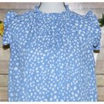 Hailey & Co. Blue & White Spotted Short Sleeve Blouse Top Size M Ruffle Trim Photo 1