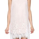 Hem & Thread NWT Boutique Lace Overlay Mini Dress Photo 13