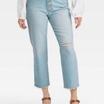 Universal Threads Curvy Fit High-Rise Vintage Straight Jeans - Universal Thread size 10/30 Photo 0