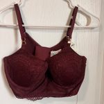 Aerie Burgundy Lace Plunge Longline Bra Balconette Size 34D New With Tags Photo 1