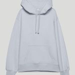 Aritzia TNA Hoodie Boyfriend Photo 0