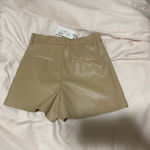 Love Tree  Shorts Photo 1