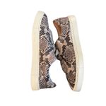 Frye Ivy Low Lace 7184 Snakeskin Gray Leather Lifestyle Sneakers Size 7M Photo 2