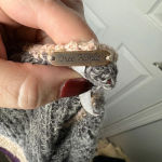 Free People Lake Tahoe Color block Cardigan Sweater Grandma Core Size S Photo 3