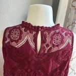 Doe & Rae  Burgundy Sleeveless Lace Top Size M Photo 3