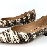Chloé Laurena Croc Lizard Embossed Animal Scalloped Leather Ballet Flats 35.5 Photo 10