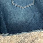 Style & Co NWT- Fray Hem Shorts Size 10 Photo 5