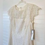 Tahari  Snow White Lace Dress​ Photo 2