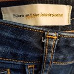 Anthropologie PILCRO AND THE LETTERPRESS STET DISTRESSED SKINNY JEANS 26 Photo 9