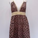 Pura Vida Taupe w Cream Trim Triangle Cutout Eyelet Plunging V Neck Mini Dress Photo 2