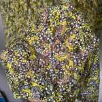 Who What Wear  Floral Pleated Lace Skirt Photo 1