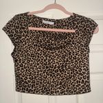 Marshalls Cheetah  Top Photo 0