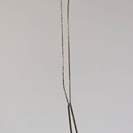 Jennifer Zeuner Nacklace Yellow Photo 3