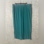 Eileen Fisher  Woman Size XL 100% Silk Georgette Crepe Pant with Slits NWT Photo 1