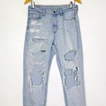 American Eagle Light Wash Mom Jeans Strigid Taper Straight Size 6 R Photo 1