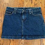 Patagonia Denim Skirt Photo 0