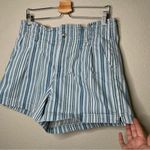 American Eagle Outfitters Womens Mom Shorts Size 14 Blue/White Striped nautical Photo 3