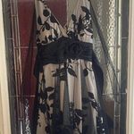 Speechless  Dress Size S Black Lace Party Formal Cocktail Prom Dress Photo 0