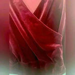 Banana Republic  Res Velvet Body Suit Size S Photo 3