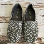 Only TOMS ALPARGATA STEEL GREY PAINTED LEOPARD PRINT SLIP ONS Photo 0