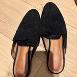 Halogen Mule Photo 1