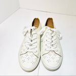 Loft  Off White Eyelet Sneakers Photo 5