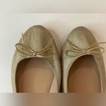 Banana Republic Women's Robin Almond-Toe Ballet Flat Size 9.5 Photo 6