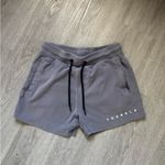 Grey Young LA Shorts Gray Photo 1