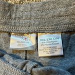 Terra & Sky Danskin Grey Casual Shorts XXL Photo 2