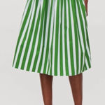 COS  Printed Pleated Cotton Skirt, Green/White Stripes, Size 8 Photo 0