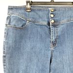 Lane Bryant Size 22 Jeans Blue 3 Button High Rise Skinny Jegging Flex Magic Photo 2