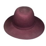 Silence + Noise  maroon wool brim hat fall winter boho outdoor pictures braided Photo 2