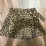 ZARA  Animal Print Skater Skirt Photo 0