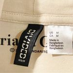 Divided Ariana Grande  H&M Size Medium Cream Graphic Cropped Hooded Sweatshirt Photo 2