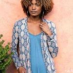 Agnes & Dora NWT Essential Cardigan | Fall Ikat Photo 0