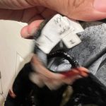 Ivy and Main Velvet Floral Romper Photo 3