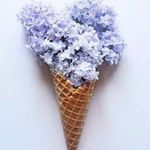 Rae Dunn Pajama Set L NWT Dreamer Cross Back Cami Striped Shorts Clay Pink Photo 6