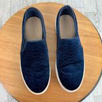 ALDO  Embossed Velvet Slip‎ On Sneakers Blue White Size 7.5 Photo 3