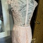 Hebeos Elegant Lace Pink Evening Gown Photo 2