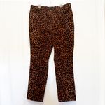 Talbots  Straight Leg Corduroy Pant Full Length High Waist Leopard Print 16W NWT Photo 1