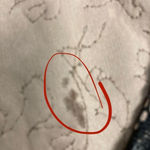 Windsor  Black &‎ Gold Sleeveless Bow Top Size Medium Photo 3