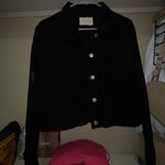 Sky And Sparrow Jacket Photo 0