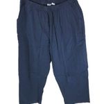 Woman Within Only Necessities Cotton Blend Chino Pants Pull On Elastic Waist Navy Blue 24WP Photo 0