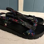 Alegria  Roz Strappy Sandal Get Away Black T Strap Womens Shoes EU 40 US 8.5 - 9 Photo 4