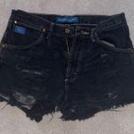Wrangler π The Cutest Black Distressed Jean Shorts Photo 1
