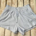 Aerie  Shorts Size M Light Blue NWT New Photo 0