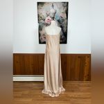 Show Me Your Mumu Elegant New Taylor Tube Maxi Dress! Photo 4