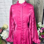 NEW Lantern Sleeve Mini Dress Pink Photo 1